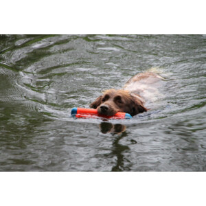 Chuckit Amphibious Bumper Small 