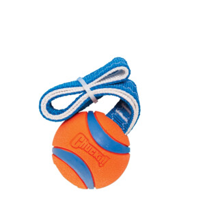 Chuckit Ultra Tug Medium - 6.59 euro