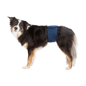 Trixie Plasband voor Reuen Blauw M 37/45 cm