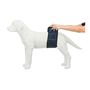 Trixie Plasband voor Reuen Blauw M 37/45 cm
