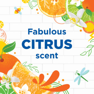 WC Eend Toiletreiniger Action Gel Citrus Splash - 3.79 euro