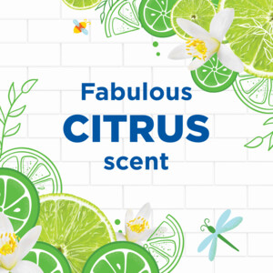 8x WC Eend Toiletblok Active Clean Citrus - 23.77 euro