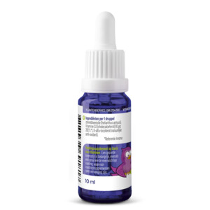 2x Vitakruid Baby Vitamine D - 21.78 euro