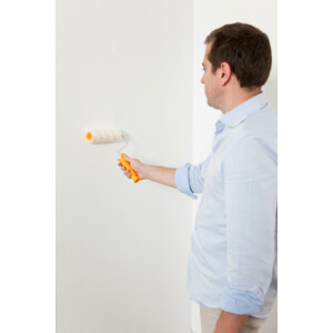 Perfax Behangroller Roll- on - 12.65 euro