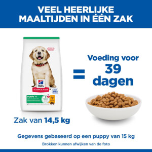 Hill's Science Plan Hondenvoer Droog Puppy Large Kip 16 kg