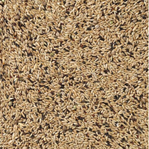 Deli Nature Kanarie Light Nummer 65 - 34.65 euro