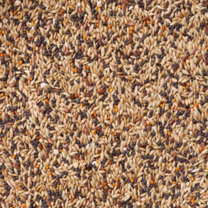 Deli Nature Winter Rust Vinken Nummer 95 - 33.89 euro