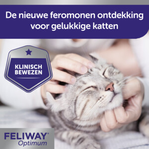 Feliway Optimum 3-Pack