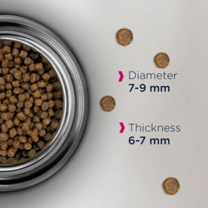 Eukanuba Adult Hairball Control Kattenvoer 10 kg