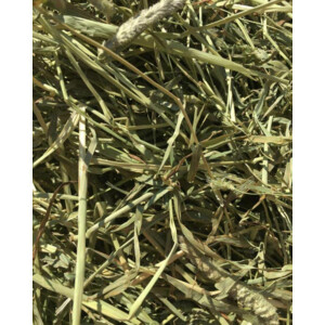 Bunny Nature Timothy Hooi 700 gr