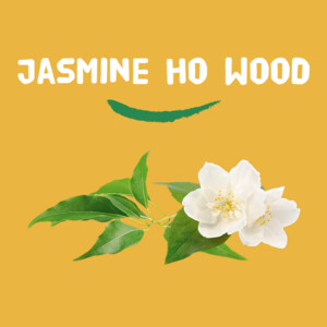 Happy Earth 100% Natuurlijke Deodorant Roller Jasmine Ho Wood - 8.49 euro