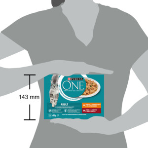 Purina ONE Fijne Malse Reepjes in Saus Kip - Rund 8 x 85 gr