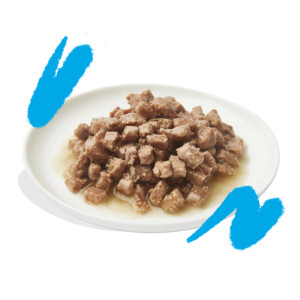 Edgard & Cooper Kattenvoer Chunks Zalm - Kip 85 gr