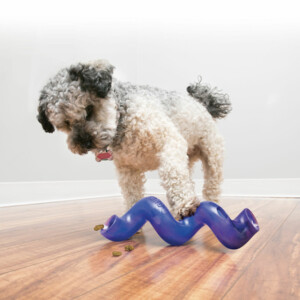 Kong Treat Spiral Stick S 