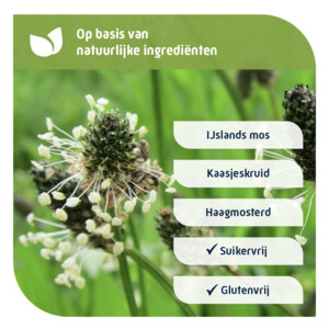 Natterman Direct Voor Alle Hoest Suikervrij - 11.39 euro
