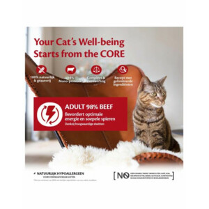 Wellness Core Kattenvoer 98% Recipe Rund 85 gr