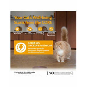 12x Wellness Core Kattenvoer 98% Recipe Kip - Zwijn 85 gr
