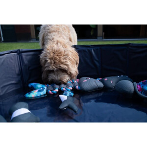 Coolpets Koelspeelgoed Pull me! Fishy Rope - 5.75 euro