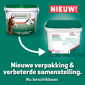 PrimeVal Gelatinaat Paard