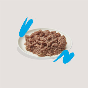 16x Edgard & Cooper Kattenvoer Adult Pate Zalm - Kip 85 gr