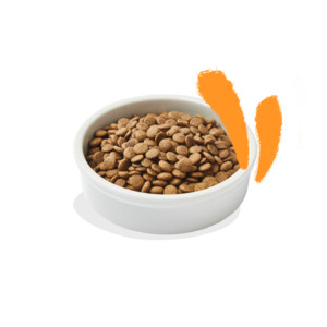 Edgard & Cooper Kattenvoer Adult Kip 2 kg