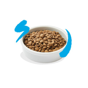 Edgard & Cooper Kattenvoer Adult Zalm 2 kg