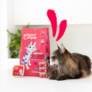 Edgard & Cooper Kattenvoer Senior Kip - Kalkoen 2 kg