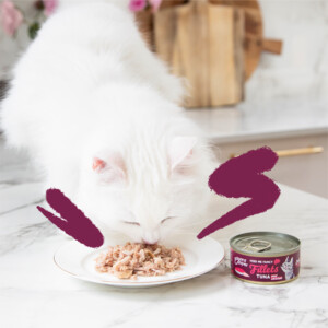 Edgard & Cooper Kattenvoer Fillets Tonijn - Kip 70 gr