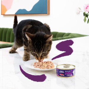 Edgard & Cooper Kattenvoer Fillets Tonijn - Garnaal 70 gr
