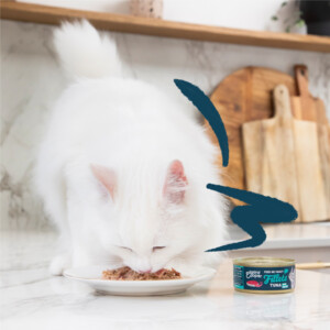 Edgard & Cooper Kattenvoer Fillets Tonijn - Inktvis 70 gr