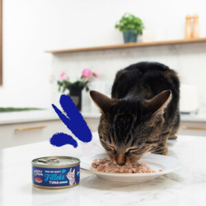 24x Edgard & Cooper Kattenvoer Fillets Tonijn 70 gr