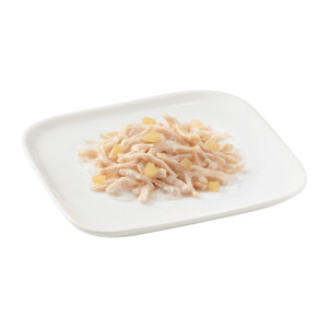 10x Schesir Hondenvoer Kip - Appel 150 gr