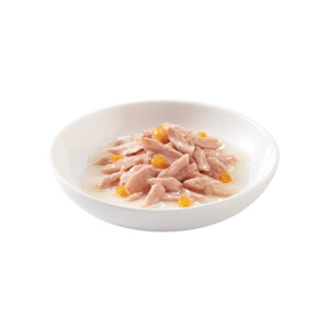 12x Schesir Kattenvoer Pompoen in Bouillon - 16.29 euro