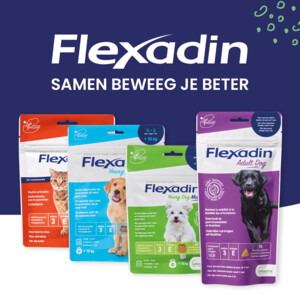 Flexadin Cat Kauwbrokjes 60 stuks