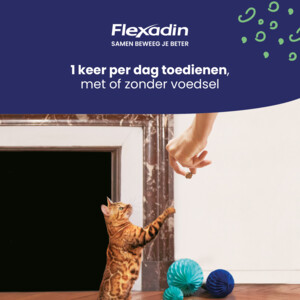 Flexadin Cat Kauwbrokjes 60 stuks