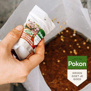 Pokon Kokos Potgrond Terras & Balkon Compact - 7.89 euro