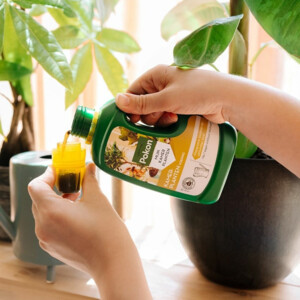 3x Pokon Plantenvoeding Kamerplanten - 13.66 euro