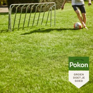 6x Pokon Graszaad Inzaai - 60.99 euro