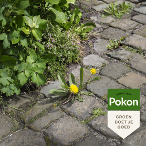 Pokon Tegen Onkruid Spray - 16.99 euro