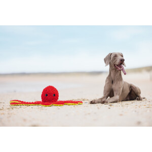 Beeztees Pluche Hondenspeelgoed Octopus Amy Rood 56 cm
