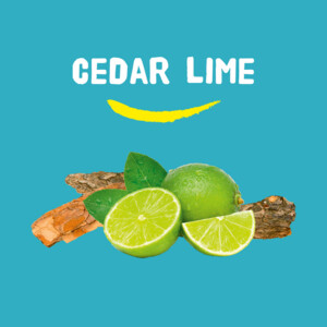 3x Happy Earth 100% Natuurlijke Shower Bar Cedar Lime - 20.87 euro