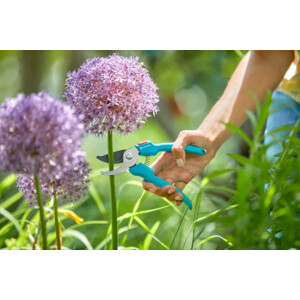 Gardena Classic Snoeischaar Classic - 11.98 euro