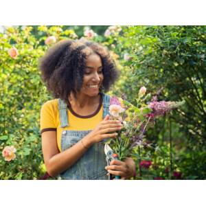 Gardena Snoeischaar ExpertCut - 29.39 euro