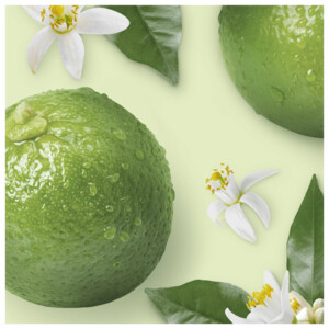 6x Mr. Propre Allesreiniger Bergamot - 18.86 euro