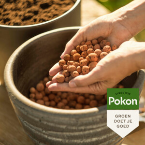 4x Pokon Hydrokorrels - 15.97 euro