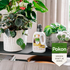 Pokon Bio Kamerplanten Voeding - 4.89 euro