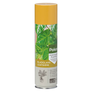 Pokon Bladglans - 6.19 euro