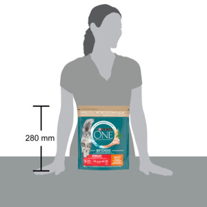 Purina ONE Adult Sterilcat Kip - Tarwe 800 gr