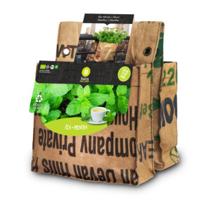 Baza Urban Garden Balkontuin Munt & Camille - 8.25 euro