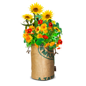 Baza Bio Wildbloemen Met Insectenhotel Oranje - 10.49 euro